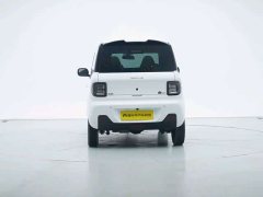 Geely Panda Mini New Spring Edition Treasure Bear - ფოტო 6