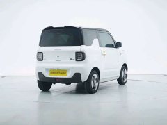 Geely Panda Mini New Spring Edition Treasure Bear - ფოტო 7