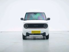 Geely Panda Mini New Spring Edition Treasure Bear - ფოტო 8