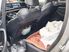 Geely Xingyue L 2024 2.0TD DCT EVO FWD Long Wind Edition - ფოტო 11