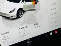 Tesla Model Y Rear-Wheel Drive - ფოტო 9