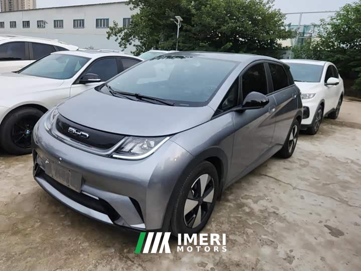 BYD Dolphin 420km Freedom Edition - ავტომობილი ჩინეთიდან