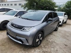 BYD Dolphin 420km Freedom Edition - ფოტო 1