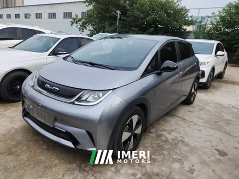 2023 BYD Dolphin 420km Freedom Edition - ავტომობილი ჩინეთიდან