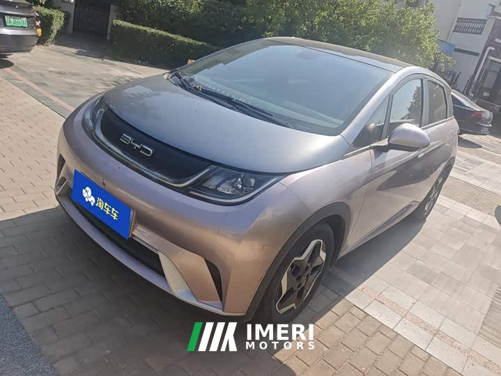 BYD Dolphin 405km Fashion Edition - ავტომობილი ჩინეთიდან