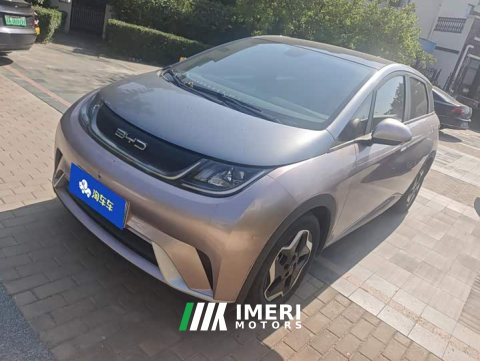 2022 BYD Dolphin 405km Fashion Edition - ავტომობილი ჩინეთიდან