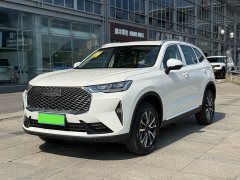 Haval H6 2024 1.5T Two-Wheel Drive Classic Edition - ფოტო 1