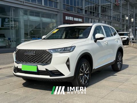2026 Haval H6 2024 1.5T Two-Wheel Drive Classic Edition - ავტომობილი ჩინეთიდან