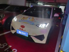 BYD Seagull 305km Freedom Edition - ფოტო 1