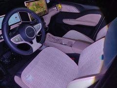 BYD Seagull 305km Freedom Edition - ფოტო 12