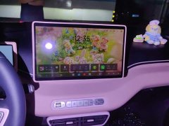 BYD Seagull 305km Freedom Edition - ფოტო 13