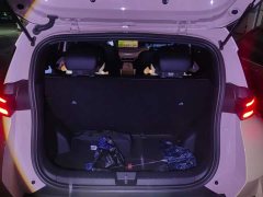 BYD Seagull 305km Freedom Edition - ფოტო 4