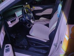BYD Seagull 305km Freedom Edition - ფოტო 9