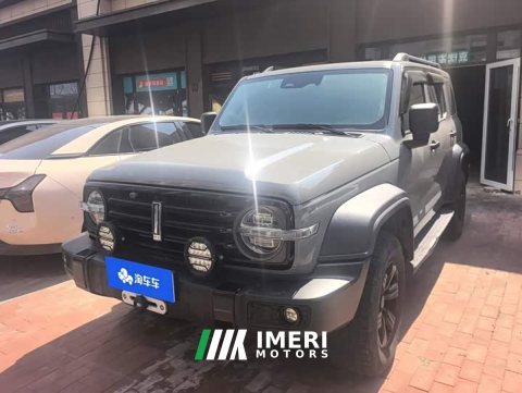 2021 Tank 300 Off-Road Edition 2.0T Conqueror - ავტომობილი ჩინეთიდან