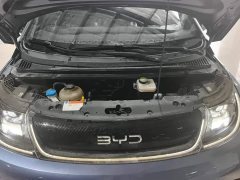 BYD Dolphin Glory Edition 420km Fashion Version - ფოტო 10