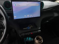 BYD Dolphin Glory Edition 420km Fashion Version - ფოტო 16
