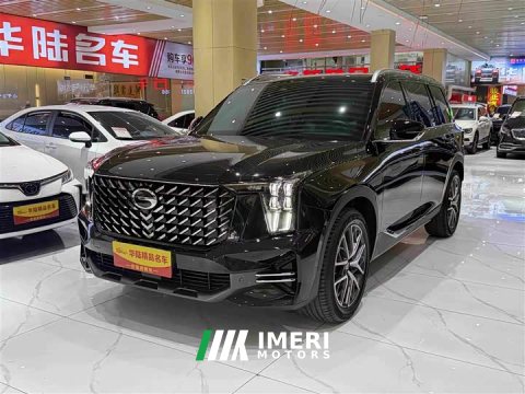 2025 GAC Aion GS8 Pioneer Series 2.0T GDI AWD Luxury 5-Seater - ავტომობილი ჩინეთიდან