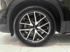 GAC Aion GS8 Pioneer Series 2.0T GDI AWD Luxury 5-Seater - ფოტო 9