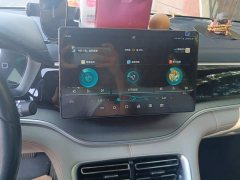 BYD Song Plus New Energy 2021 DM-i 51KM Premium Edition - ფოტო 13