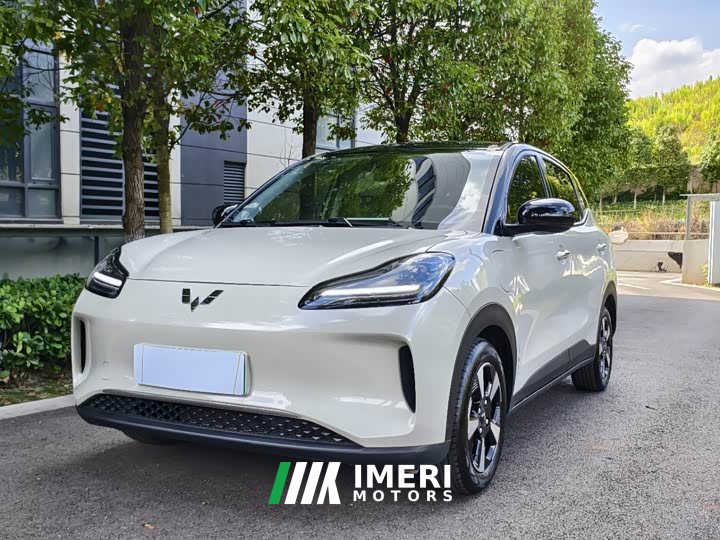 Wuling Binguo PLUS 401km 5-Seater