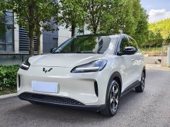 Wuling Binguo PLUS 401km 5-Seater - ფოტო 1