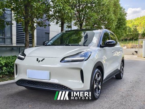 2024 Wuling Binguo PLUS 401km 5-Seater - ავტომობილი ჩინეთიდან