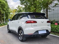 Wuling Binguo PLUS 401km 5-Seater - ფოტო 14