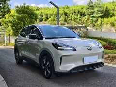 Wuling Binguo PLUS 401km 5-Seater - ფოტო 3