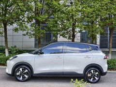 Wuling Binguo PLUS 401km 5-Seater - ფოტო 4