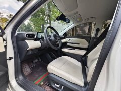 Wuling Binguo PLUS 401km 5-Seater - ფოტო 5