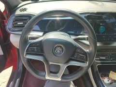 BYD Qin Plus 2021 DM-i 120KM Flagship - ფოტო 15