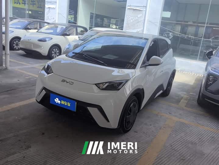BYD Seagull 305km Vitality Edition - ავტომობილი ჩინეთიდან
