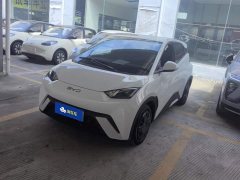 BYD Seagull 305km Vitality Edition - ფოტო 1