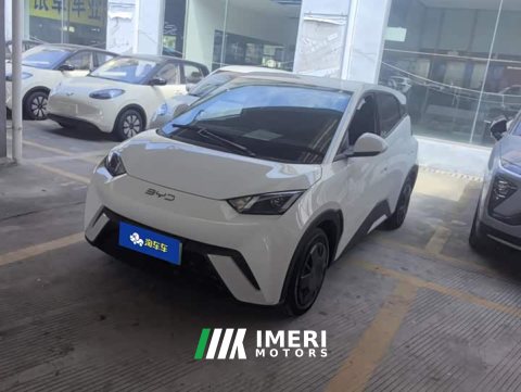 2025 BYD Seagull 305km Vitality Edition - ავტომობილი ჩინეთიდან