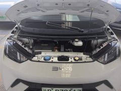 BYD Seagull 305km Vitality Edition - ფოტო 10
