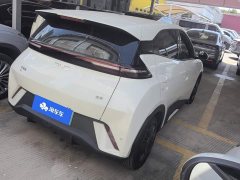 BYD Seagull 305km Vitality Edition - ფოტო 3