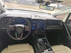 GAC Aion E9 Master - ფოტო 5