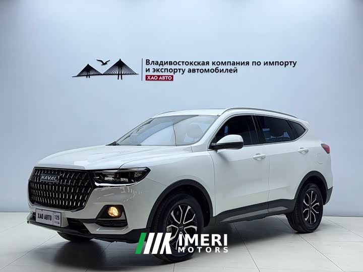 Haval H6 2021 National Trend Edition 1.5T Automatic Urban Version - ავტომობილი ჩინეთიდან