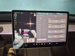 Tesla Model Y 2023 Rear-Wheel Drive - ფოტო 12