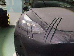 Tesla Model Y 2023 Rear-Wheel Drive - ფოტო 7