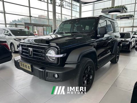 2025 Tank 300 2.0T Gasoline Conqueror - ავტომობილი ჩინეთიდან