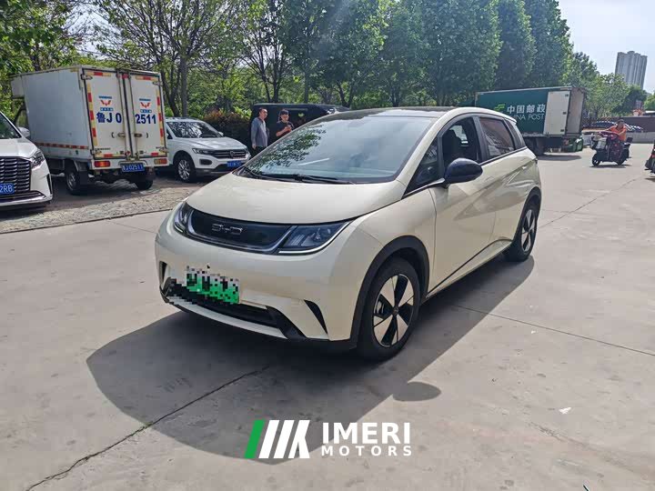 BYD Dolphin 420km Freedom Edition - ავტომობილი ჩინეთიდან