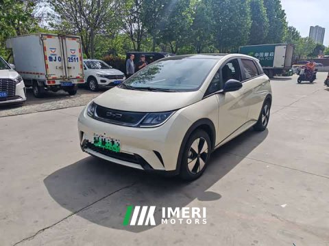 2023 BYD Dolphin 420km Freedom Edition - ავტომობილი ჩინეთიდან