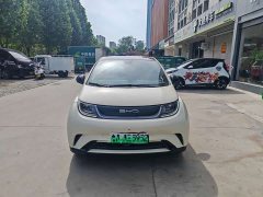 BYD Dolphin 420km Freedom Edition - ფოტო 2