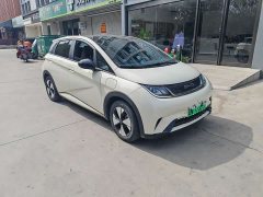 BYD Dolphin 420km Freedom Edition - ფოტო 3