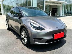 Tesla Model Y Rear-Wheel Drive - ფოტო 3