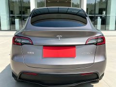 Tesla Model Y Rear-Wheel Drive - ფოტო 8