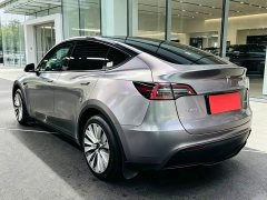 Tesla Model Y Rear-Wheel Drive - ფოტო 9