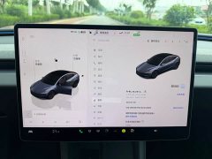 Tesla Model 3 Long Range All-Wheel Drive - ფოტო 7