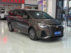 Buick GL8 Land Executive Cabin 652T Luxury - ფოტო 3